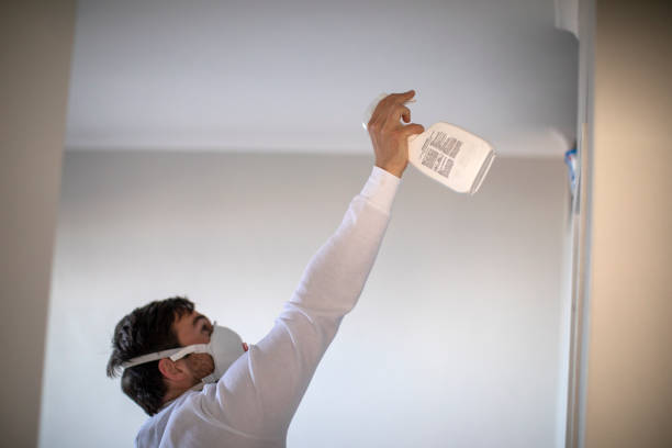 Best Best Mold Removal Companies  in Little Rock, AR