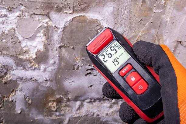 Best Local Mold Removal Service  in Little Rock, AR