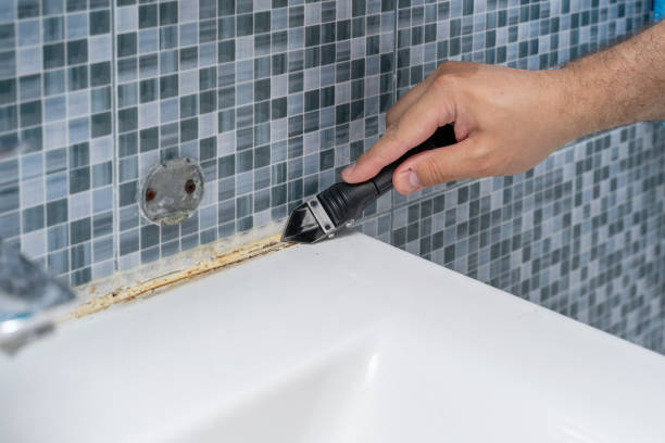 Best Same-Day Mold Removal  in Little Rock, AR
