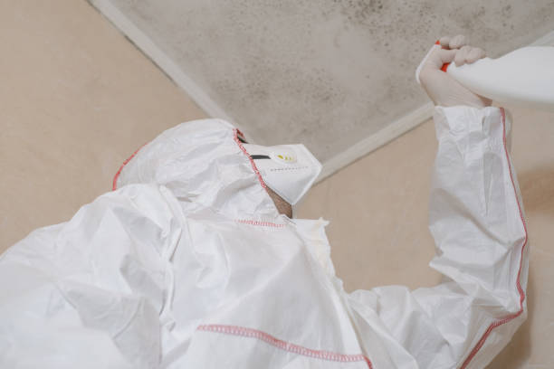 Best Office Mold Removal Services  in Little Rock, AR